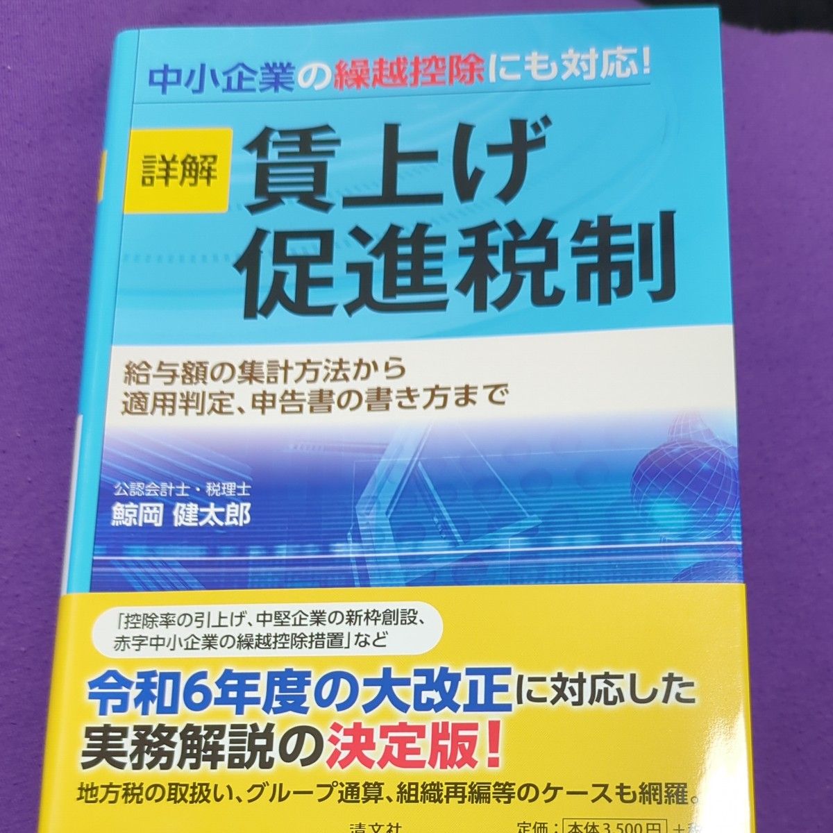 详解加薪促进税制：从工资总额的统计方法到适用判定，再到申报表的填写方式 鲸冈健太郎 著