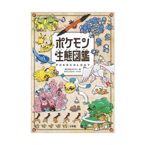 宝可梦生态图鉴/宝可梦/木之下广