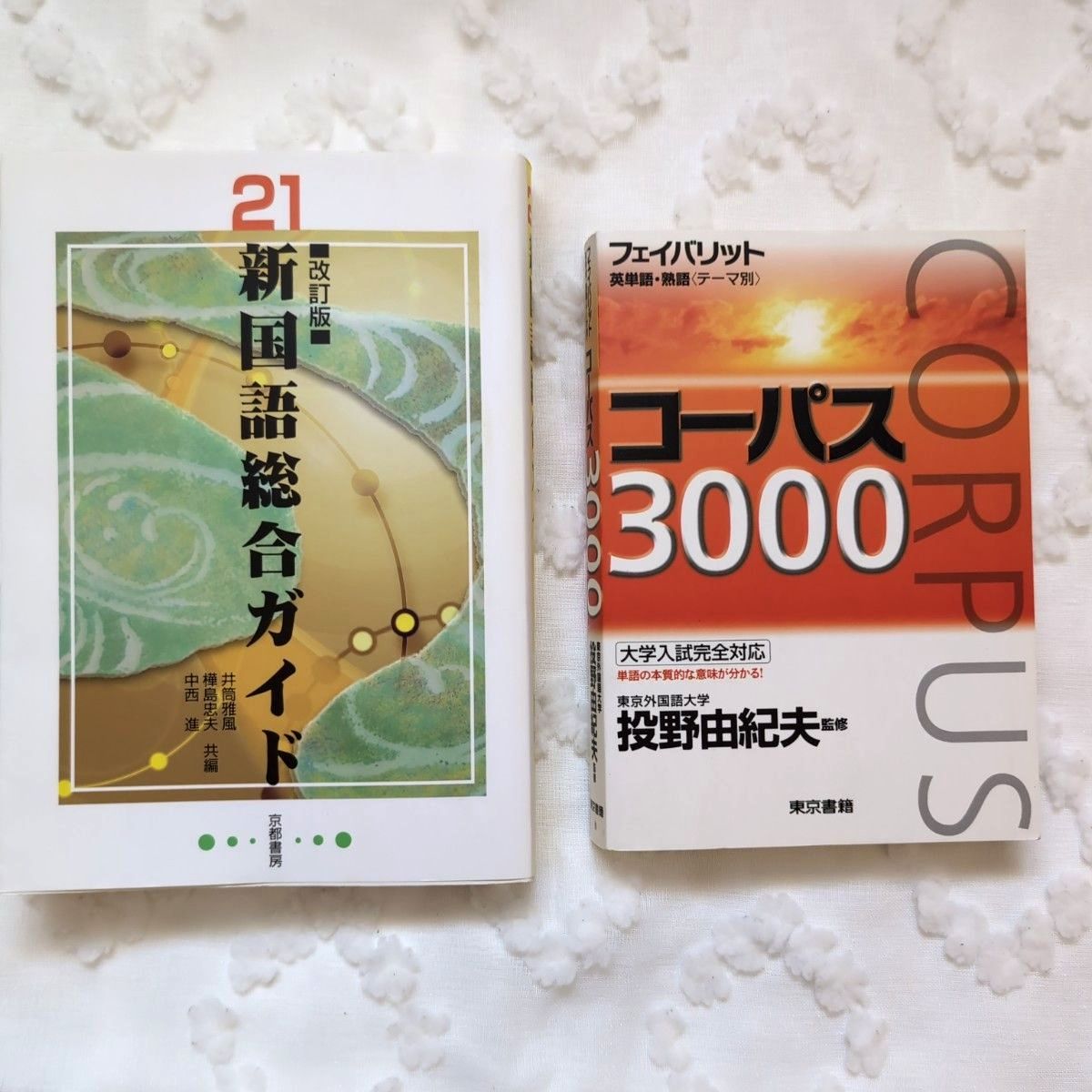 【暂无留言】21新版国语综合指南/语料库3000 两册套装 英语单词 熟语