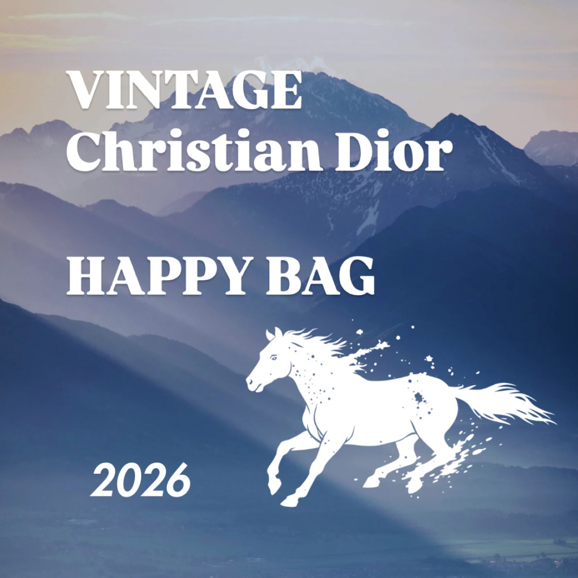 【 DIOR 】复古配饰 Happy BAG 限量发售/90年代迪奥单件装/总价值50,000日元/精选5至7件套项链耳环胸针金色正式场合入学典礼毕业典礼马