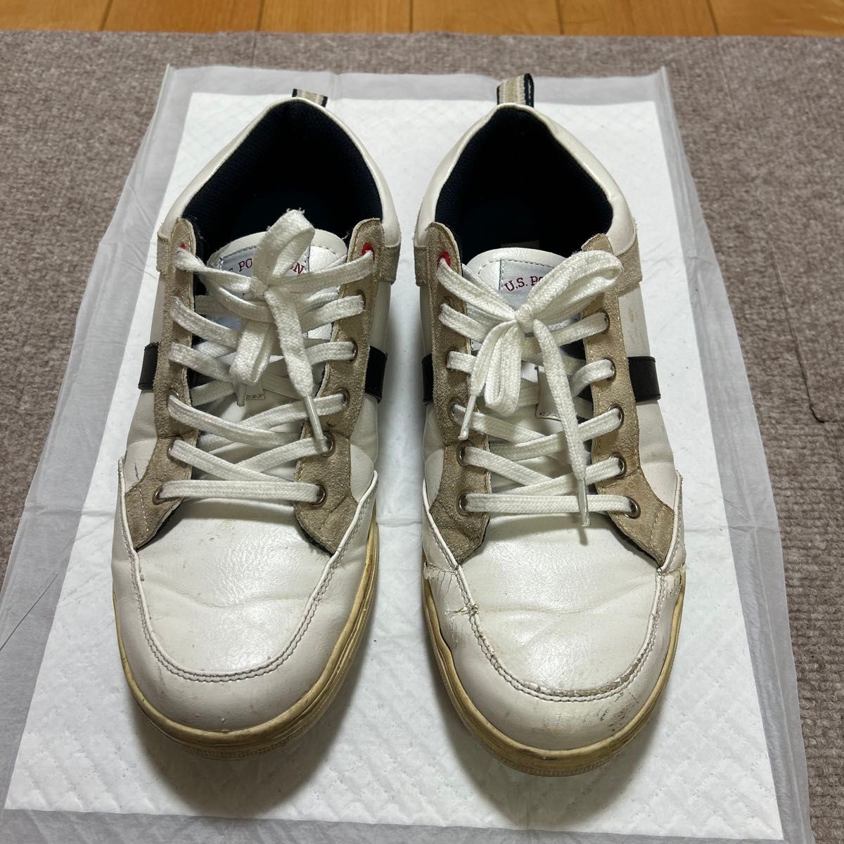 U.S. POLO ASSN. 白色运动鞋 男士