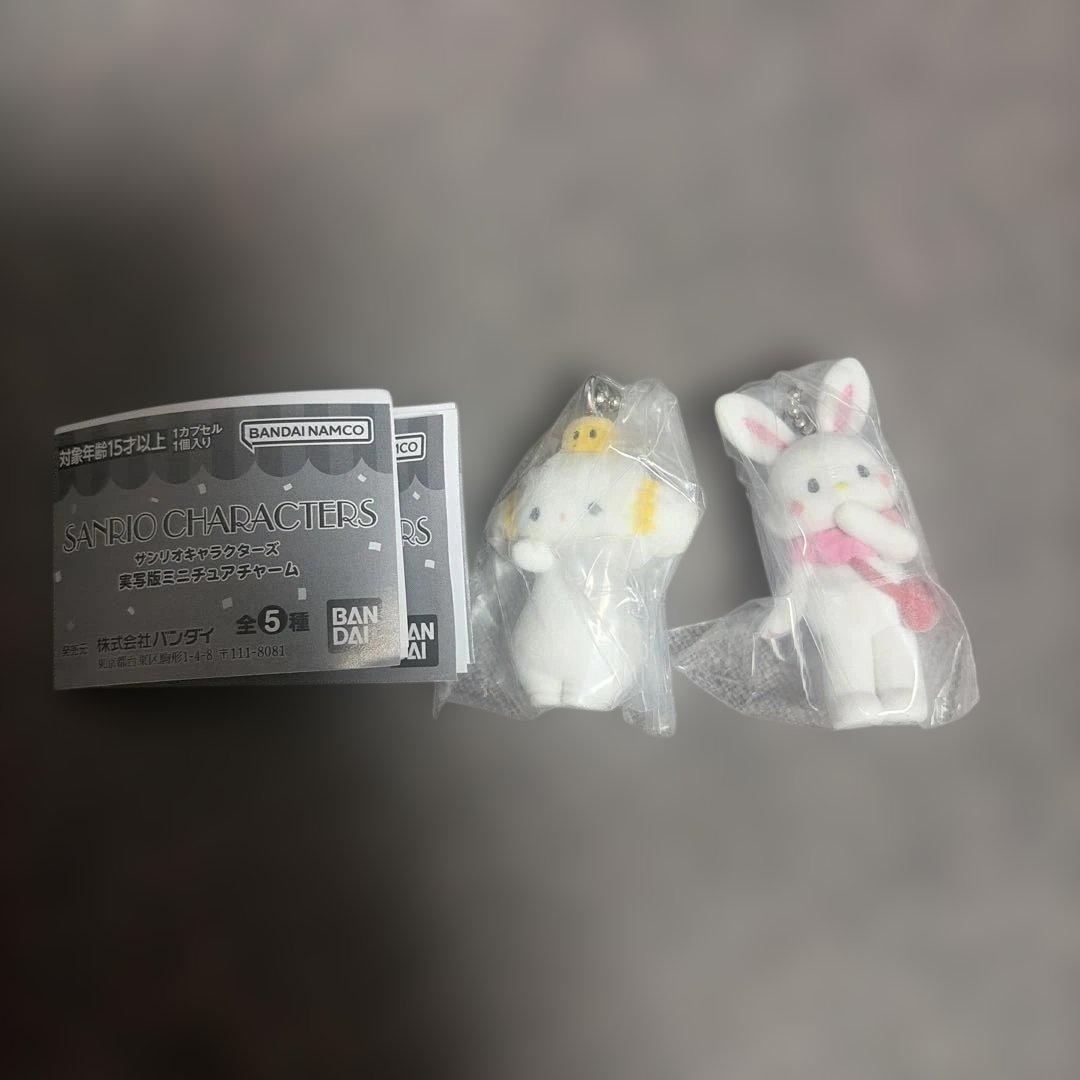 Sanrio Character Live-Action Miniature Charm Set Kogimyun Wish Me Mel