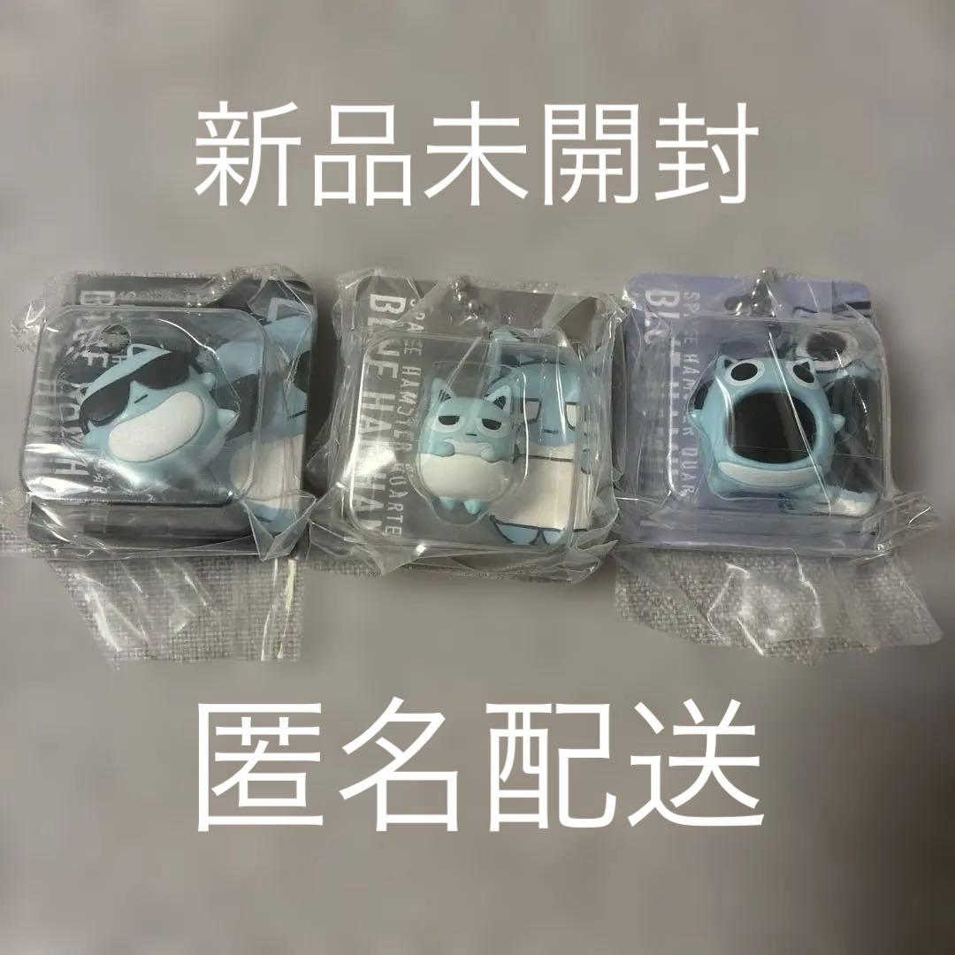 Blue Hamham Miniature Package Charm Figure 3-Type Set