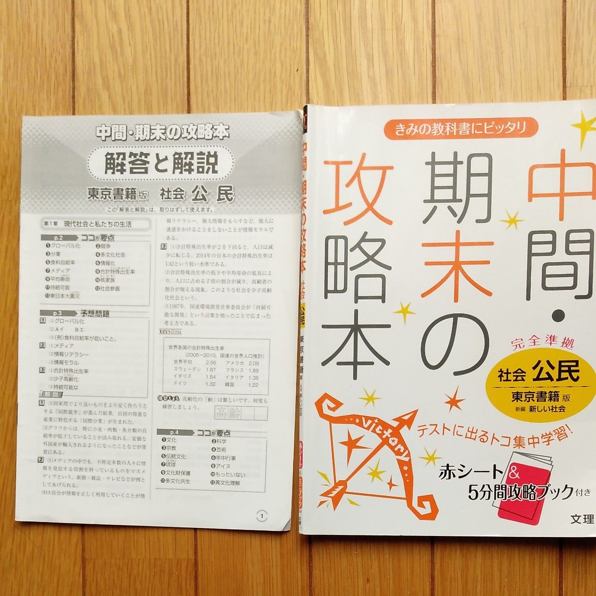 期中·期末备考指南 社会 公民 东京书籍版 新版社会