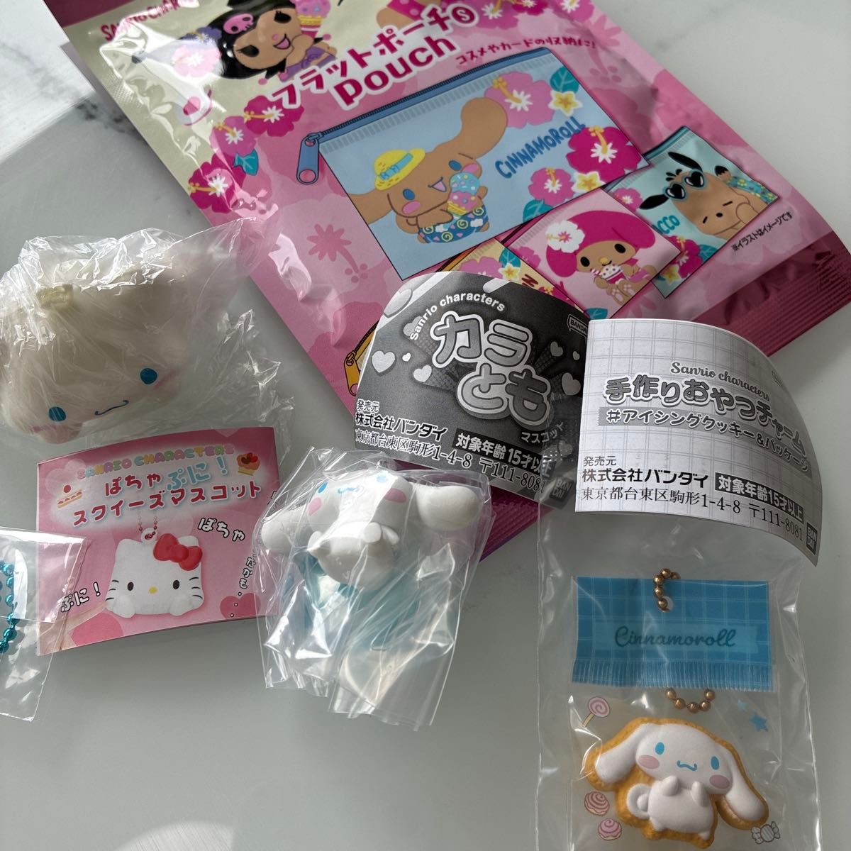 Gacha Sanrio Characters Cinnamoroll Plump & Cute! Kara tomo Handmade Snack Charm Flat Pouch