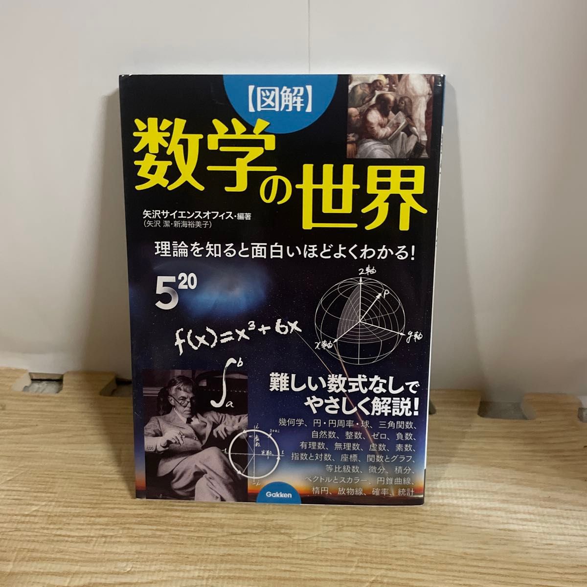 〈図解〉数学の世界　理論を知ると面白いほどよくわかる！ 矢沢サイエンスオフィス／編著