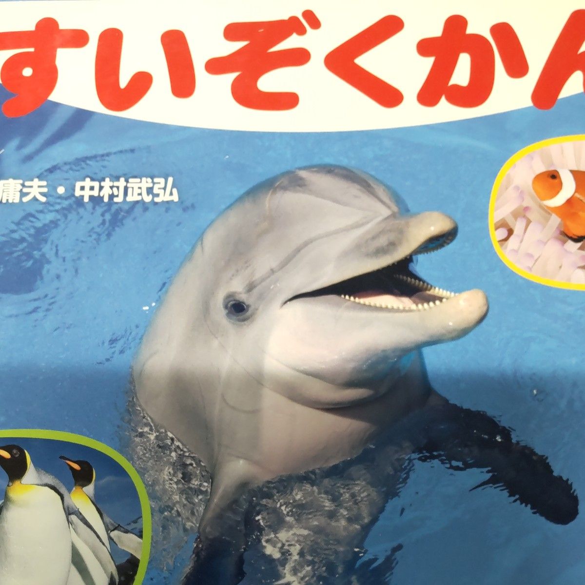 水族馆(350系列 第一次生物绘本 8) 中村庸夫/摄影 中村武弘/摄影