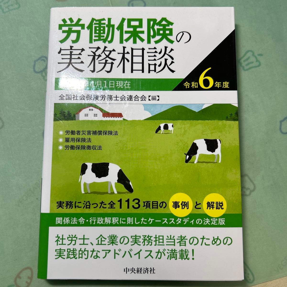 劳动保险实务咨询 令和6年度 全国社会保険劳务士会联合会 编 中央经济社