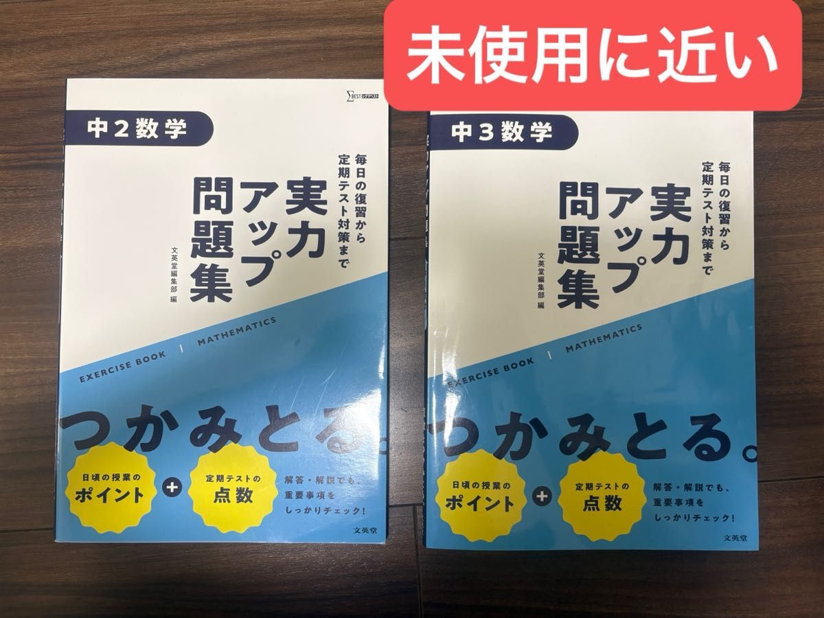 实力提升习题集 初中二年级数学 初中三年级数学 2册套装 Sigma Best 文英堂