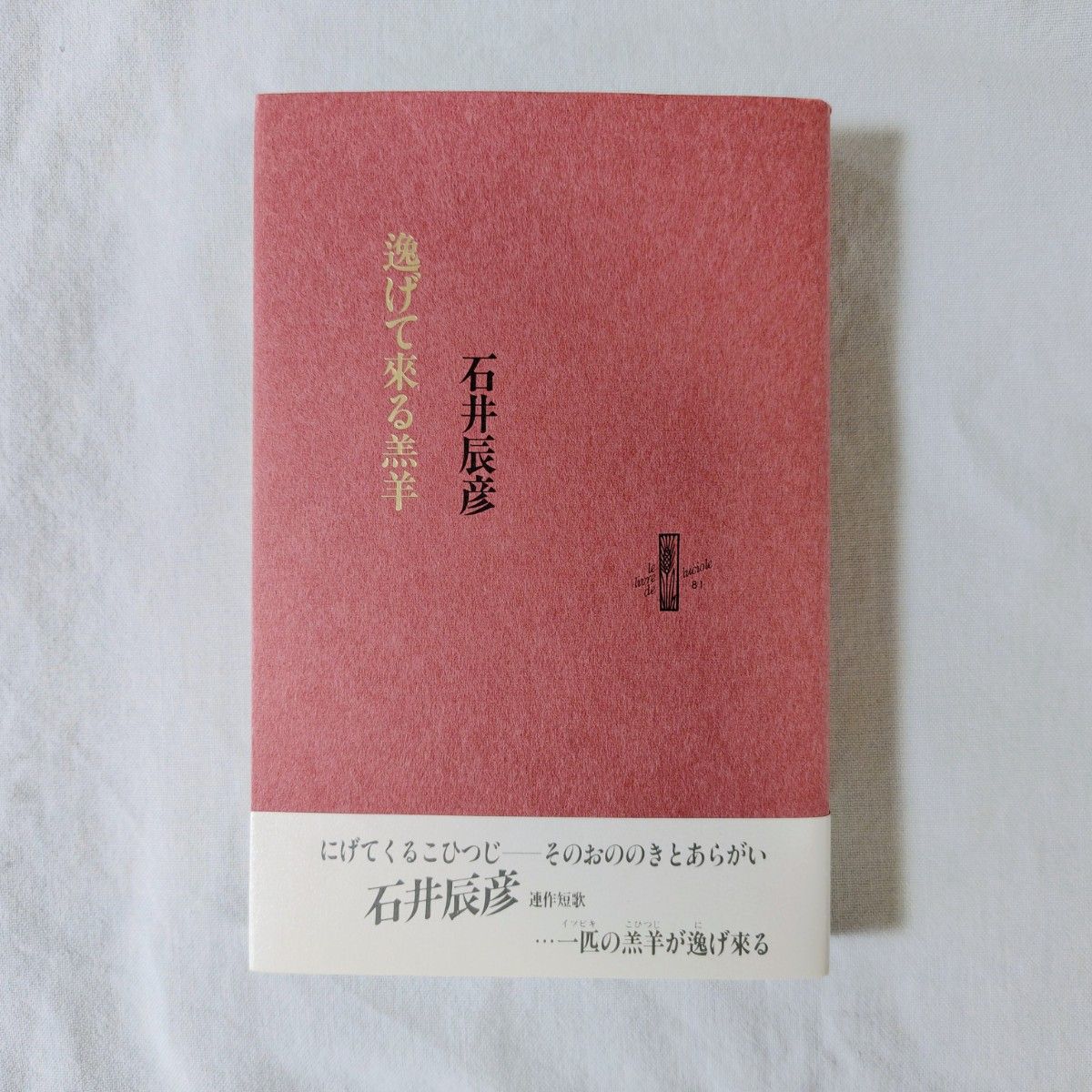 逃来的羔羊 石井辰彦 歌集 短歌