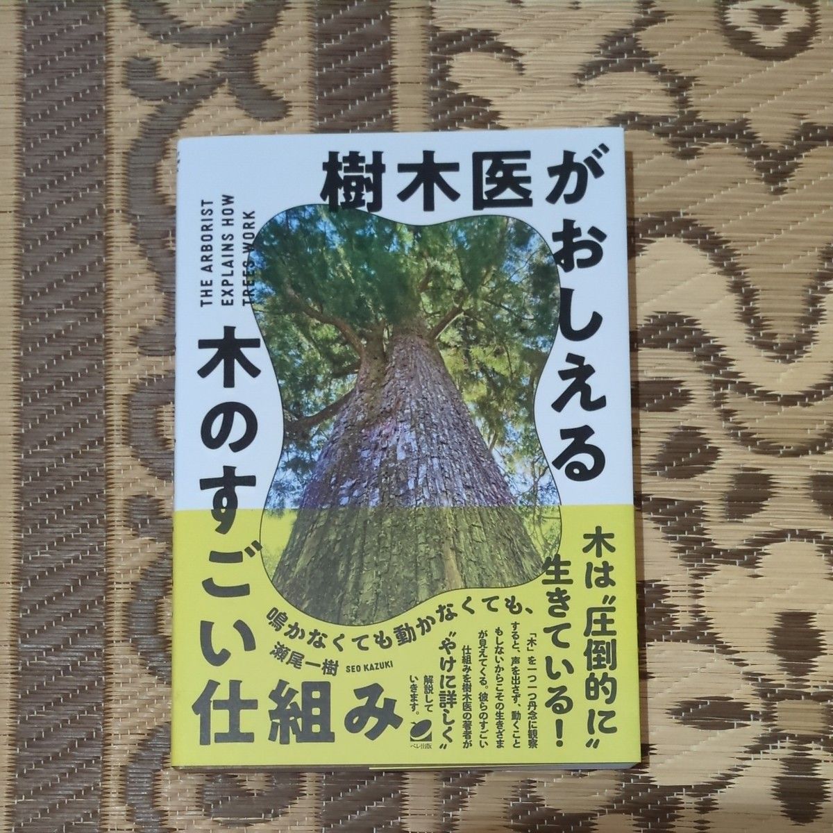 树木医生教的树的厉害的构造濑尾一树/着