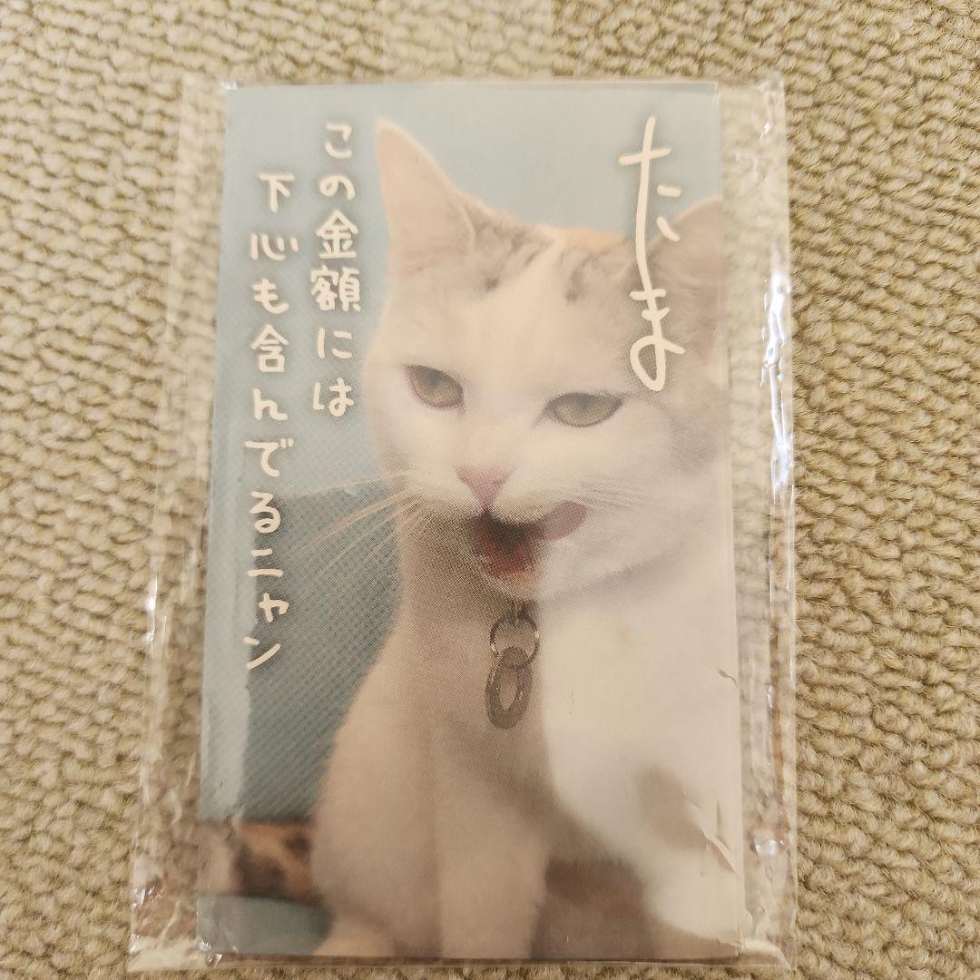 含有心意的福袋 红包袋 5枚装