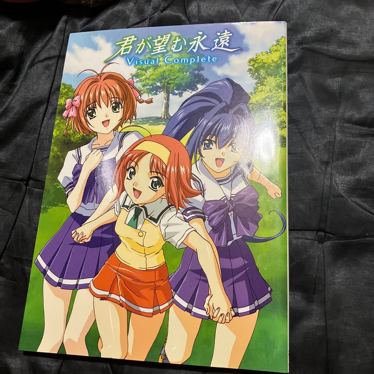 你所期望的永远 Visual Complete 设定资料集 艺术画册
