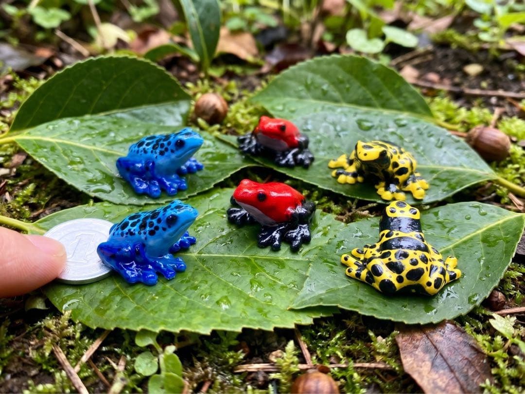 Kiobi Poison Frog Magnet