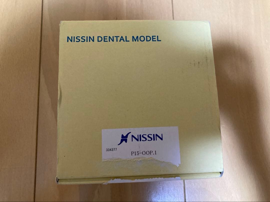 NISSIN DENTAL MODEL P15-OOP.1 颌模型