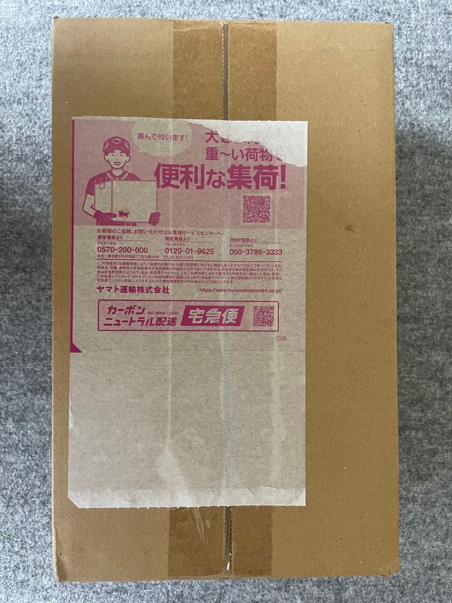 宝可梦卡牌游戏 特别盒 宝可梦中心 纸箱未拆封 东北 初版 第一次抽签销售中奖商品