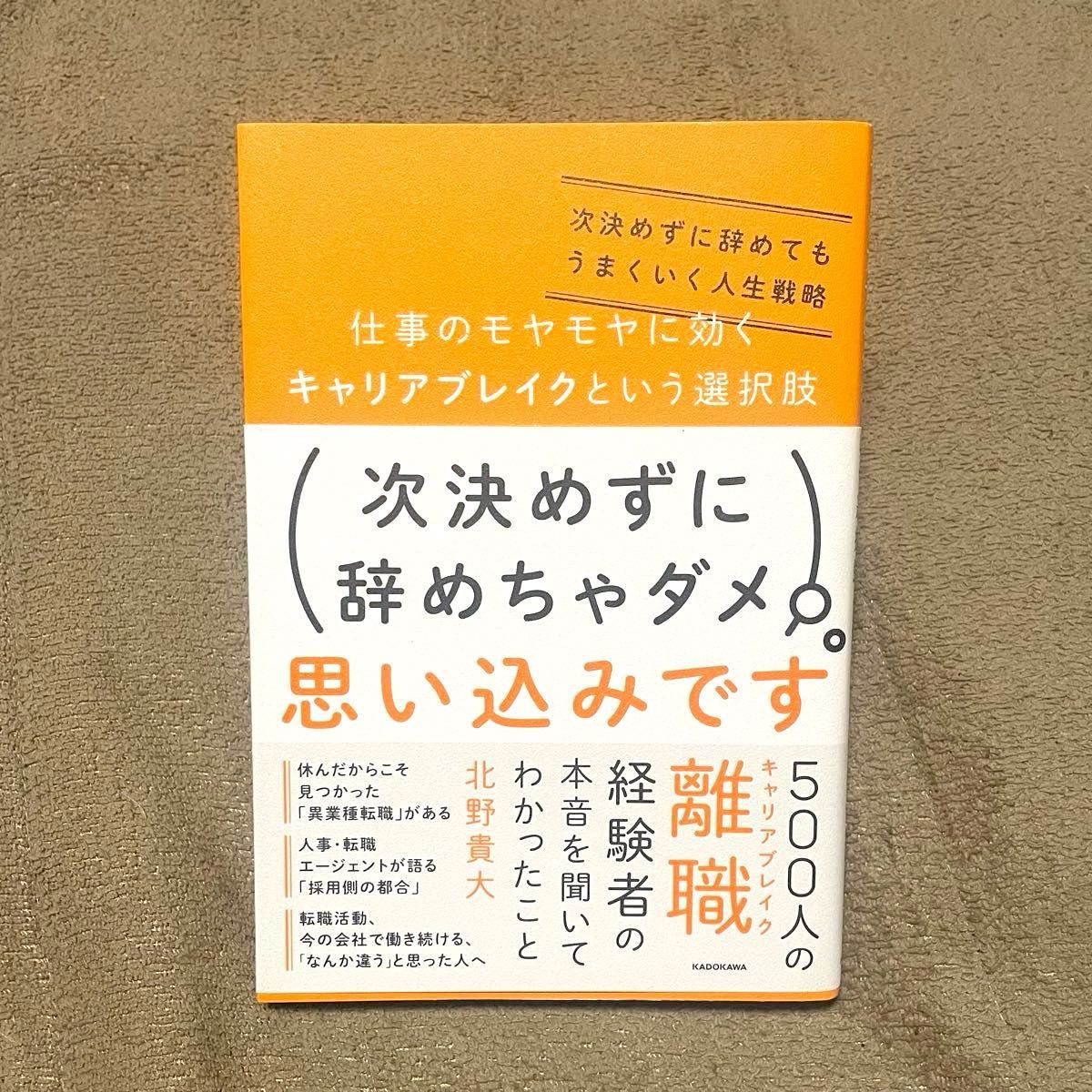 应对工作迷茫的“职业断层”之选：不急于做决定就辞职，也能成就精彩人生的战略 北野贵大 著
