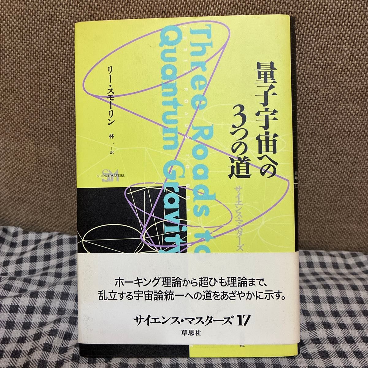 通往量子宇宙的三条道路李 · 斯莫林科学大师17