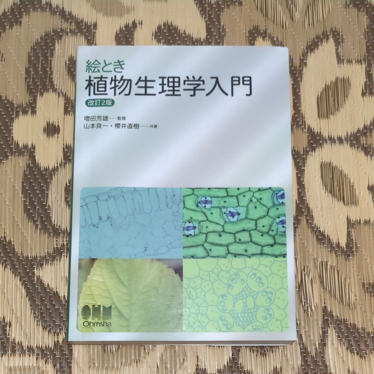 画时植物生理学入门 (改订2版) 山本良一/共着樱井直树/共着增田芳雄/监修