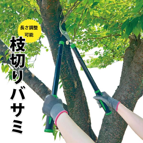 剪枝剪刀剪枝剪刀长度可调轻松修剪园艺打扫庭院便利商品翻译免费送货点消化