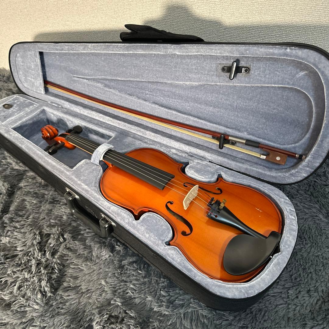 Hallstatt V-10小提琴4/4尺寸盒弓附属弦乐器