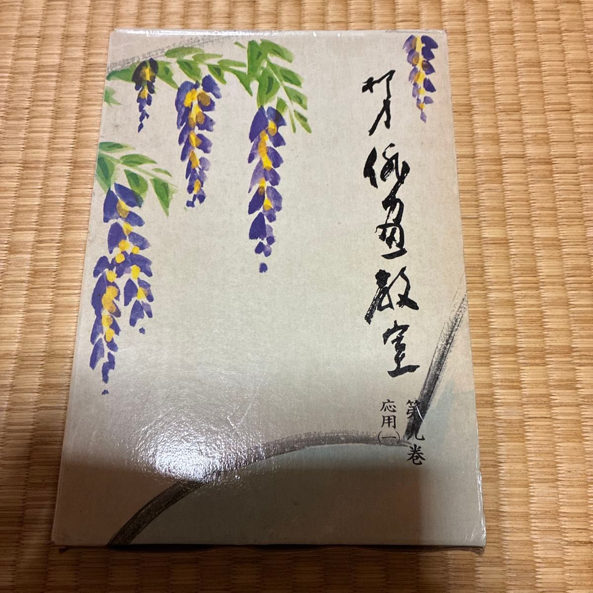 柳史俳画教室〈第9巻〉応用