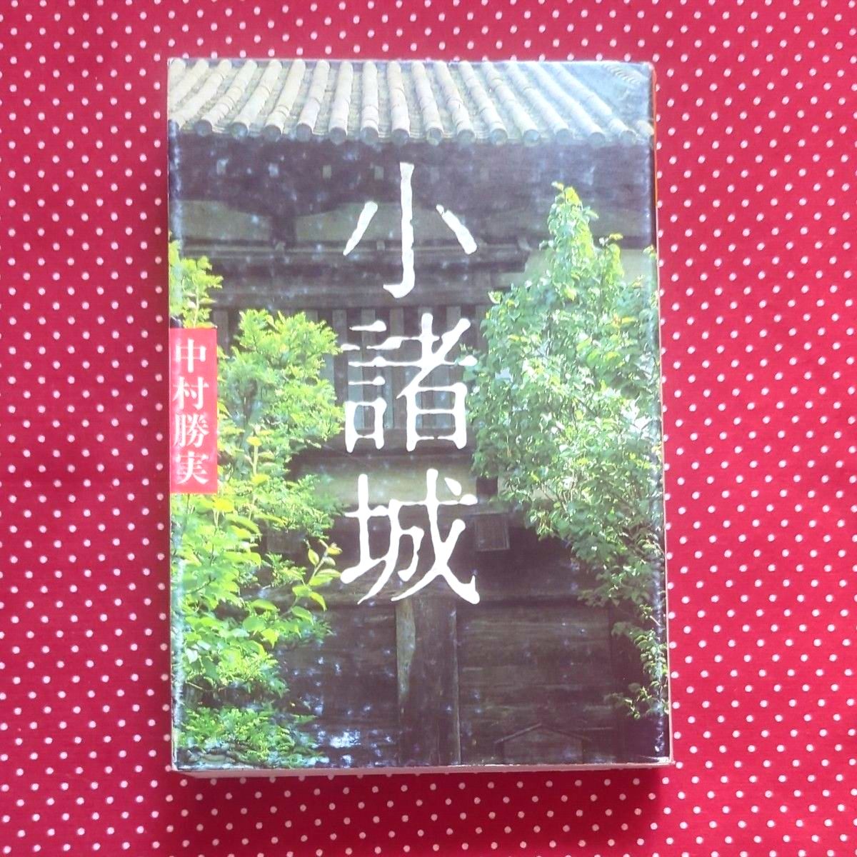 小诸城中村胜实着