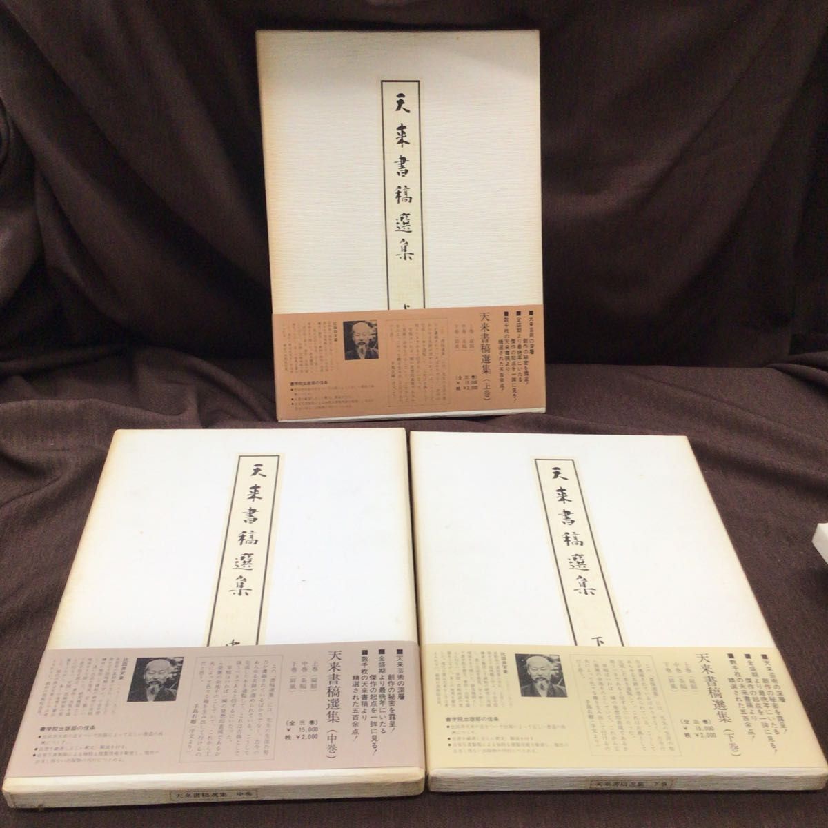 天来書稿選集 上中下巻 3冊セット 書道 古書