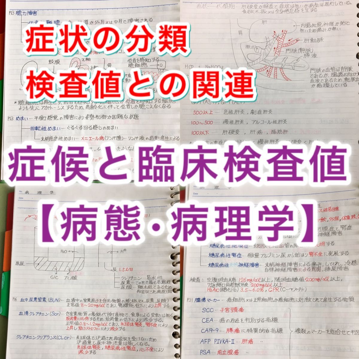 牙科医师国家考试、CBT、牙医学部定期考试对策【病理学】总结笔记