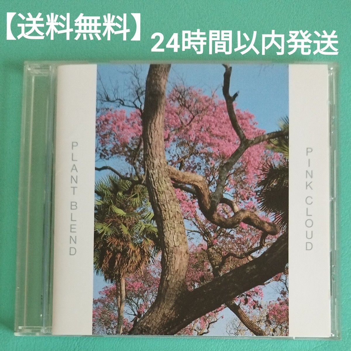 【24小时内发货 全国免运费】PLANT BLEND / PINK CLOUD 粉色云朵CD ☆快速响应·精心包装☆