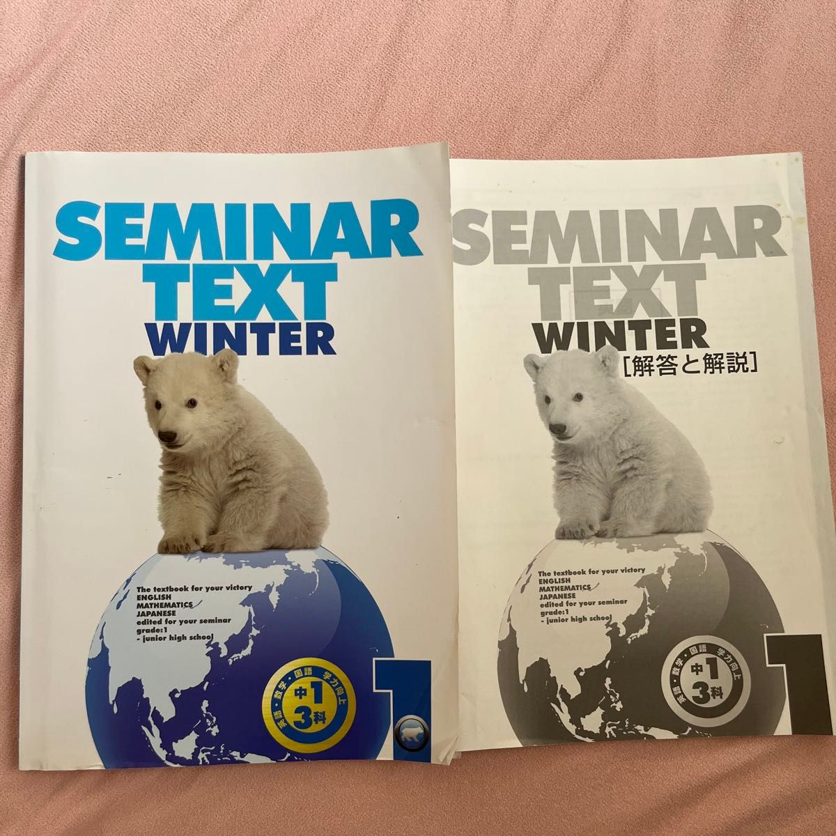 初中一年级 Seminar教材 WINTER 3科 含答案解析 补习班教材 无手写笔记