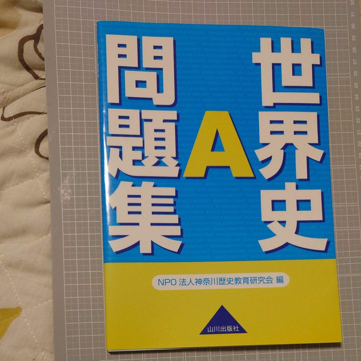 世界史A 习题集 NPO法人历史研究会编 山川出版社