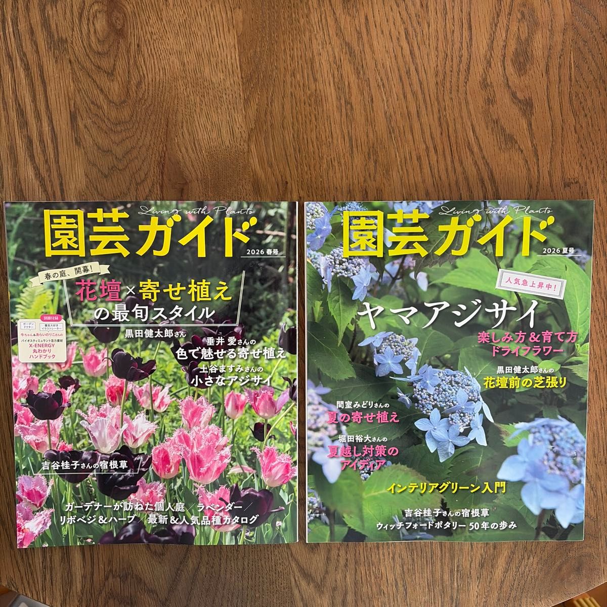 園芸ガイド 2026年 春号・夏号 2冊セット