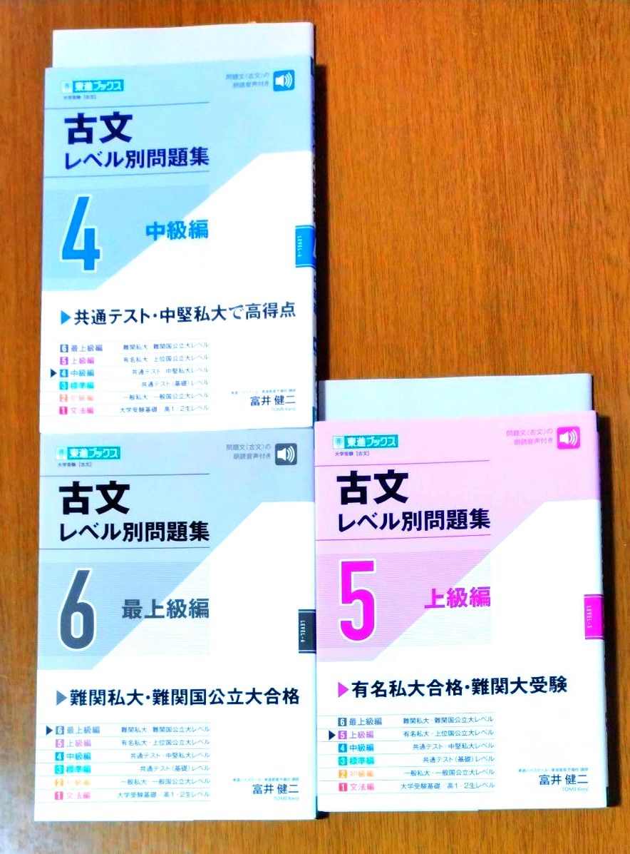古文分级练习题集 ④⑤⑥ 全3册套装　东进图书