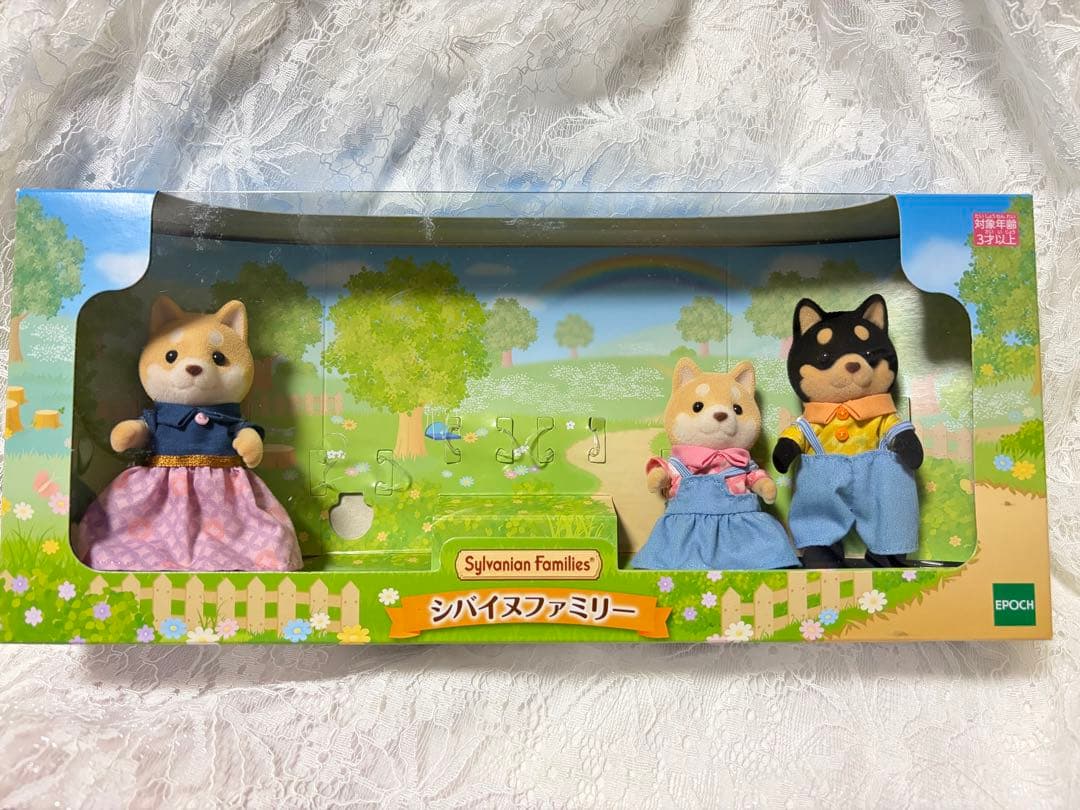 森贝儿家族 柴犬家族 妈妈 爸爸 女孩