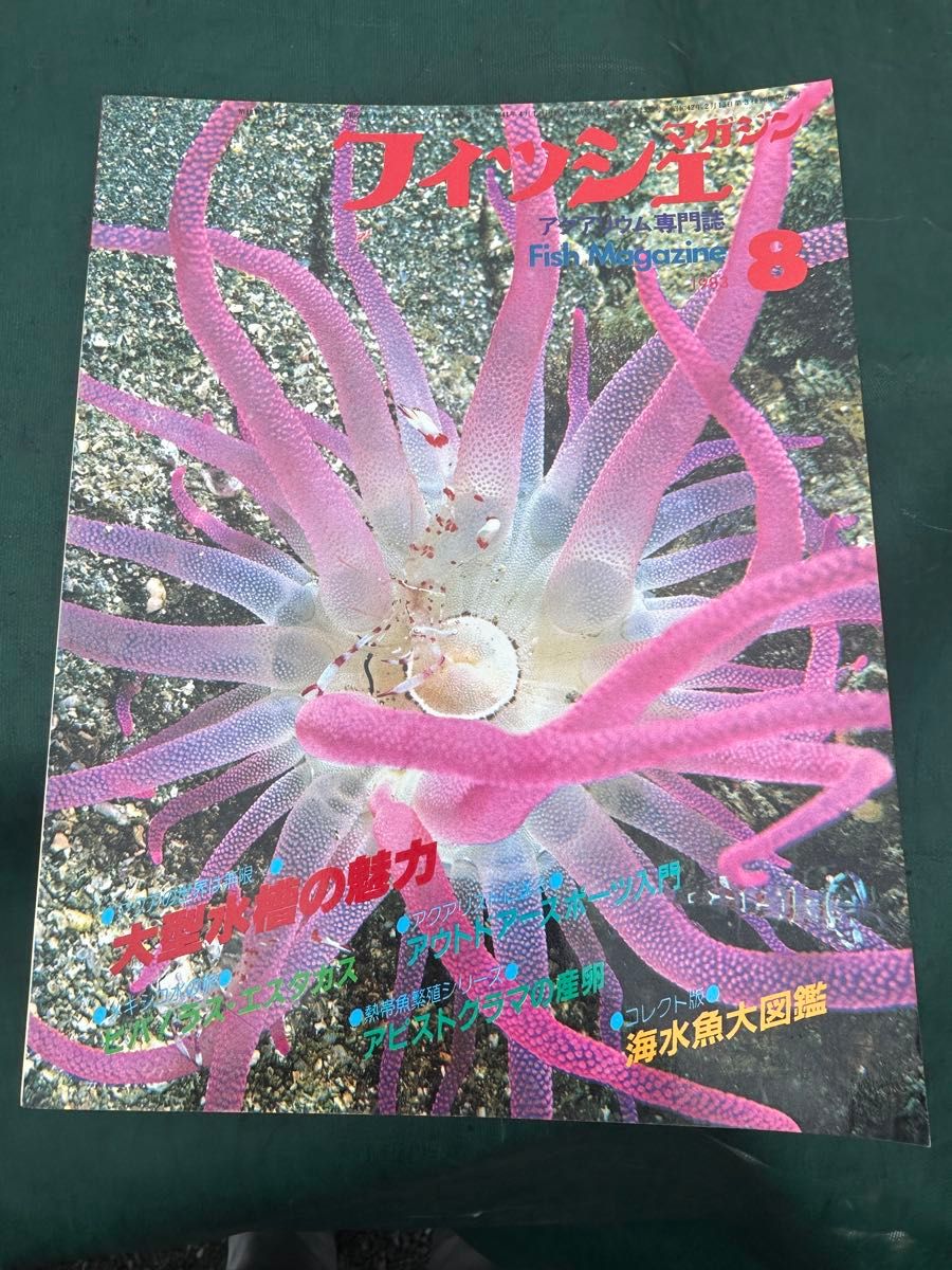 フィッシュマガジン 1983年8月号 アクアリウム専門誌