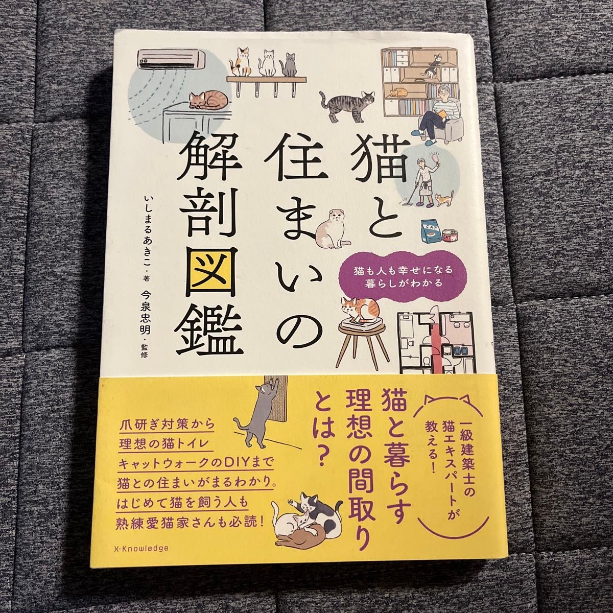 猫与家居解剖图鉴 岛丸亚纪子 今泉忠明