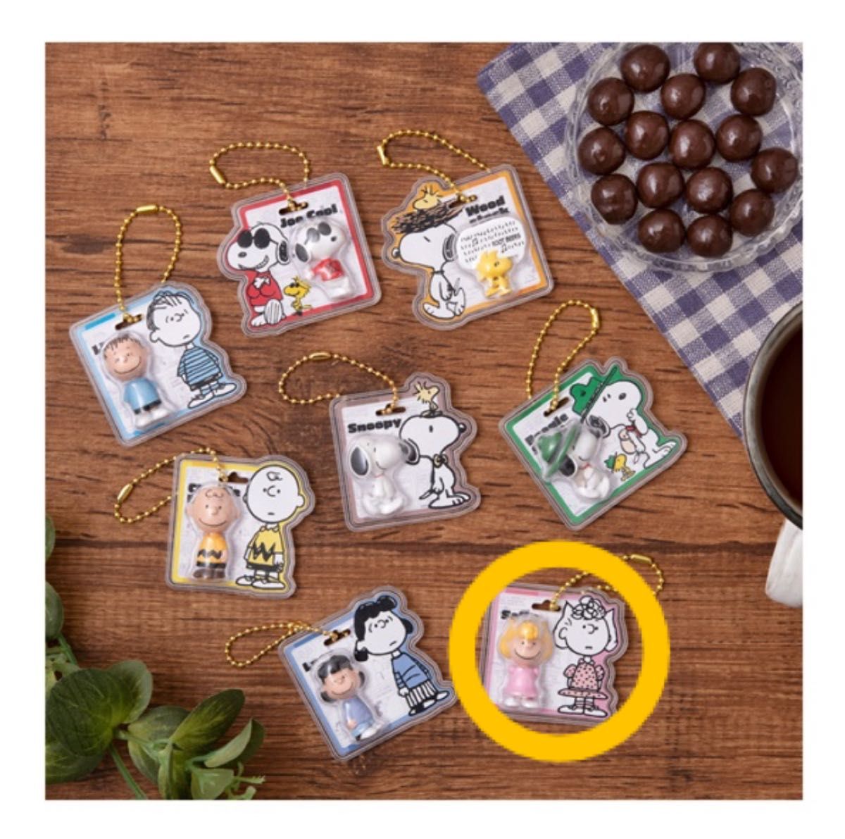 Snoopy Package Charm Sally Figure Keychain