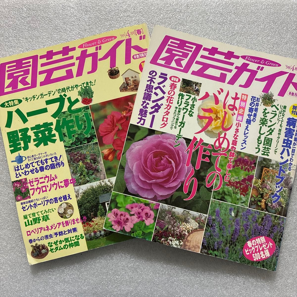 988♪园艺指南 2册套装 草本与蔬菜种植 / 初学者入门指南
