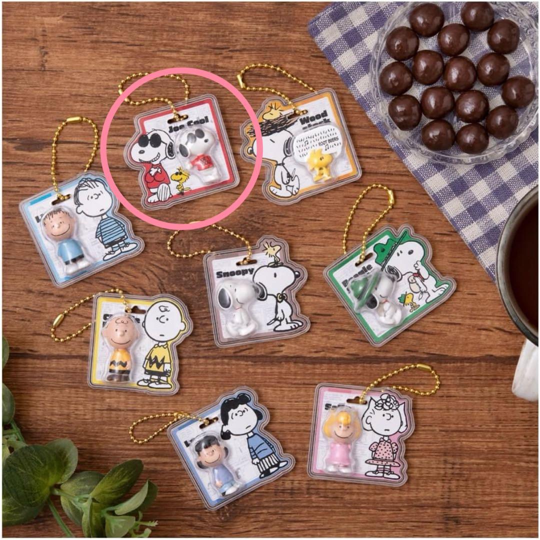 [Anonymous Shipping] PEANUTS Snoopy Package Charm (•"●)