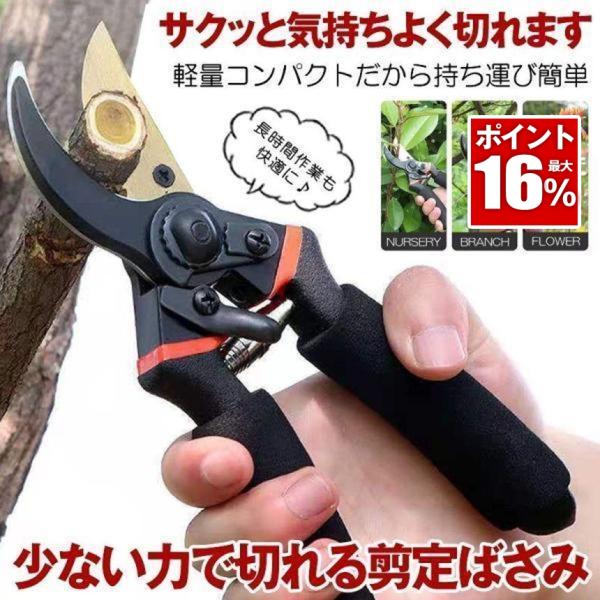 修剪剪刀剪枝剪刀修剪剪刀不易生锈的氟涂层容易握的修剪剪刀修剪剪刀剪枝剪刀园艺剪刀园艺