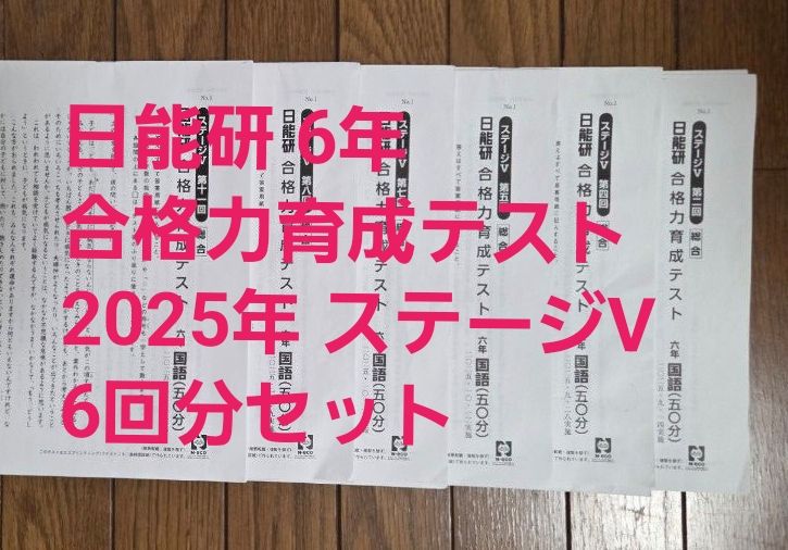 日能研 合格力育成テスト2025年　 6年 ステージV 6回分セット