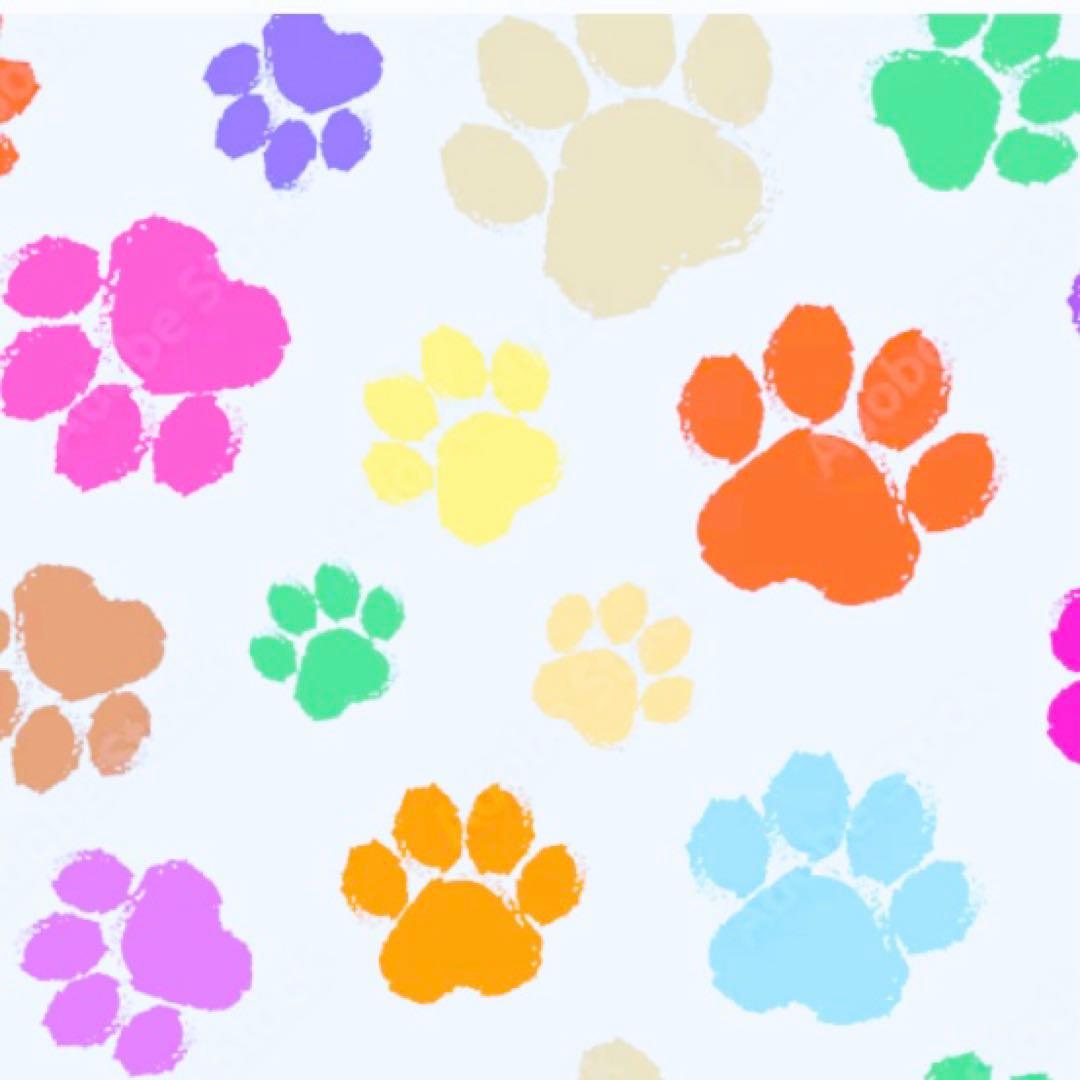 ❤︎常凛❤︎ 专用ヽ(=^x^=)
