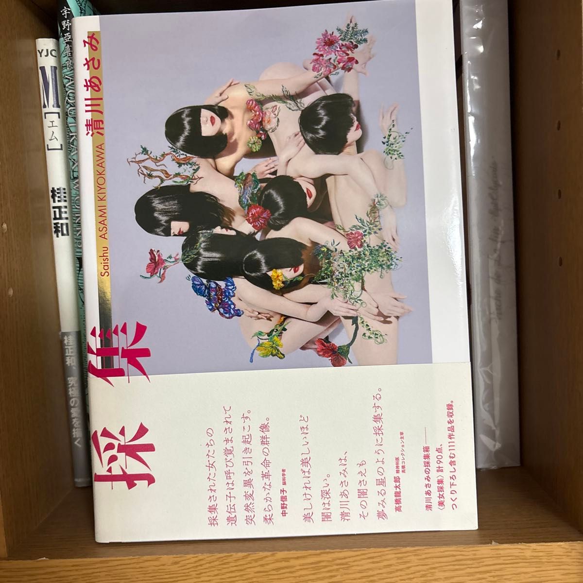 清川朝美 采集 美女采集 写真集