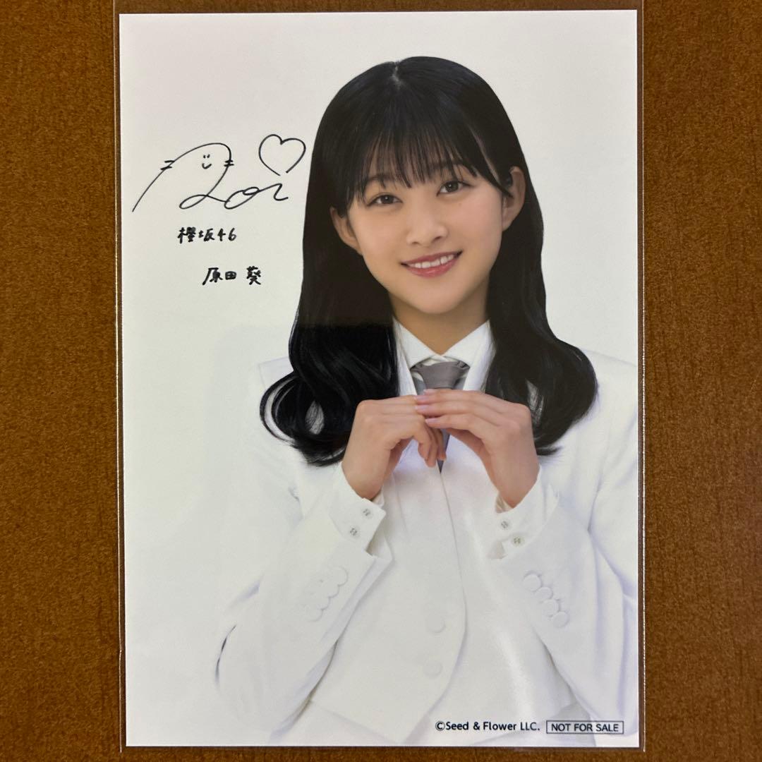 樱坂46 原田葵 签名生写真