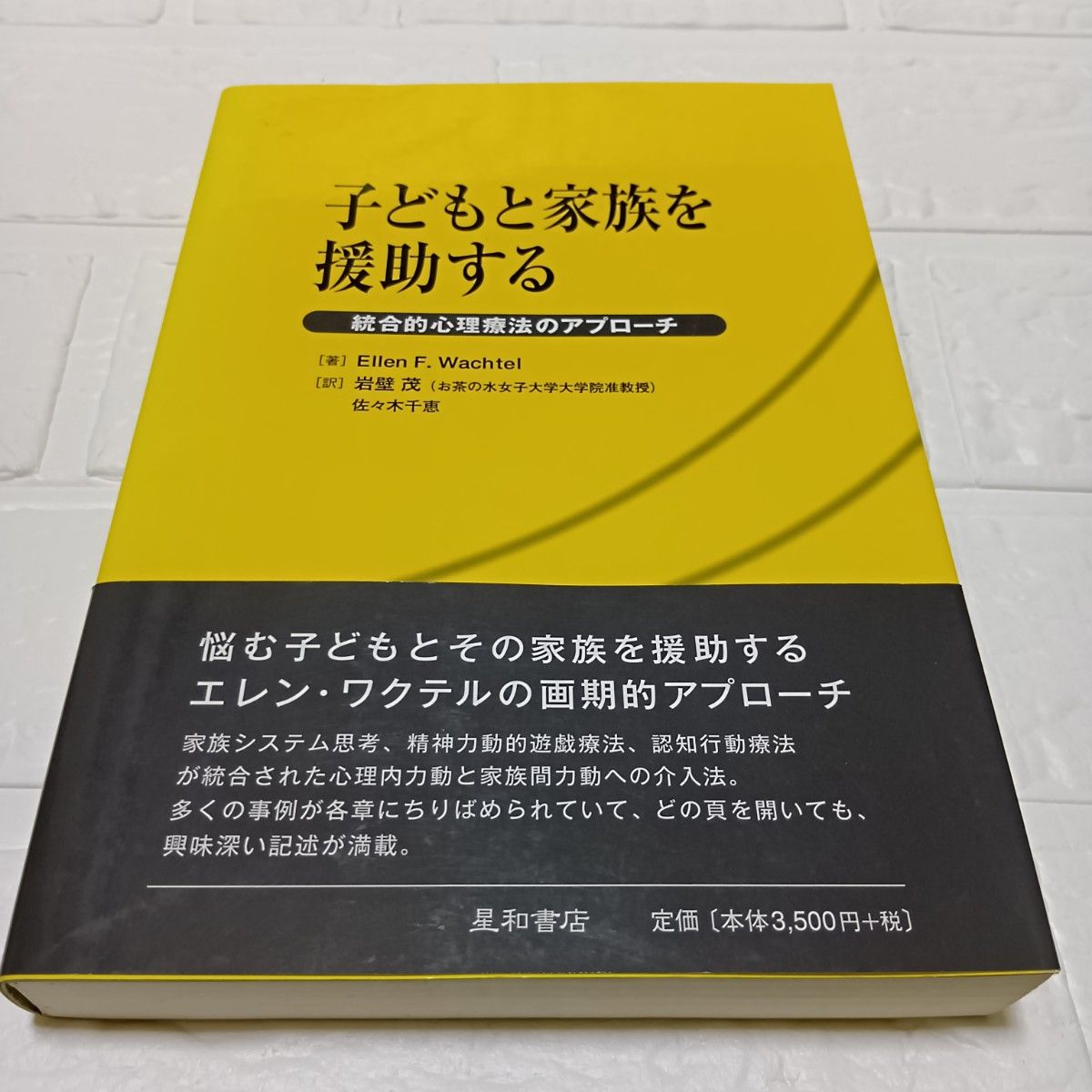 援助孩子和家人的综合心理疗法的方法艾伦 · F.沃克特尔/着岩壁茂/译佐佐木千惠/译