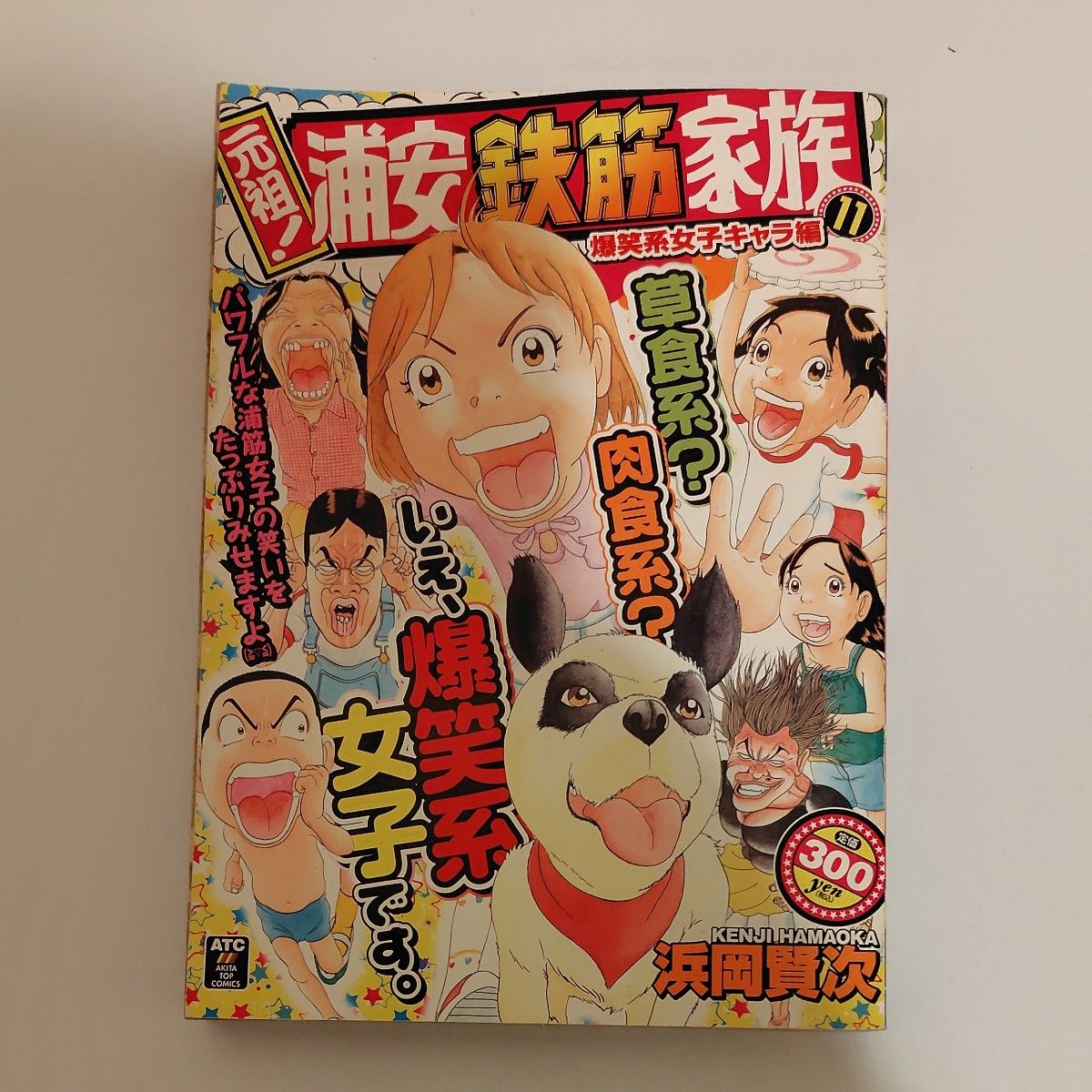 元祖！浦安铁筋家族 爆笑系女子角色篇 秋田顶级漫画 浜冈贤次