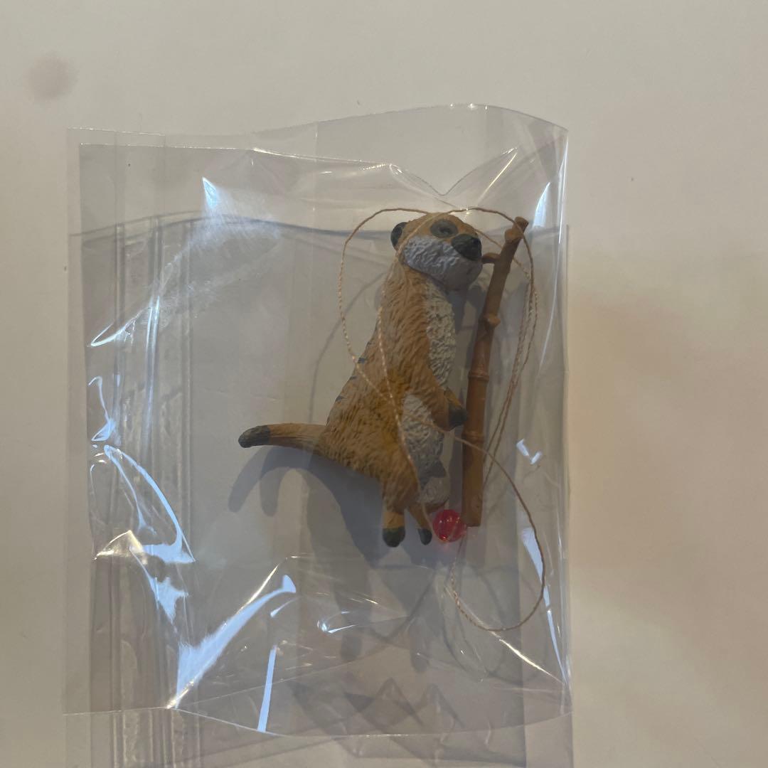 Fishing Days 4: How Animals Kill Time - Meerkat