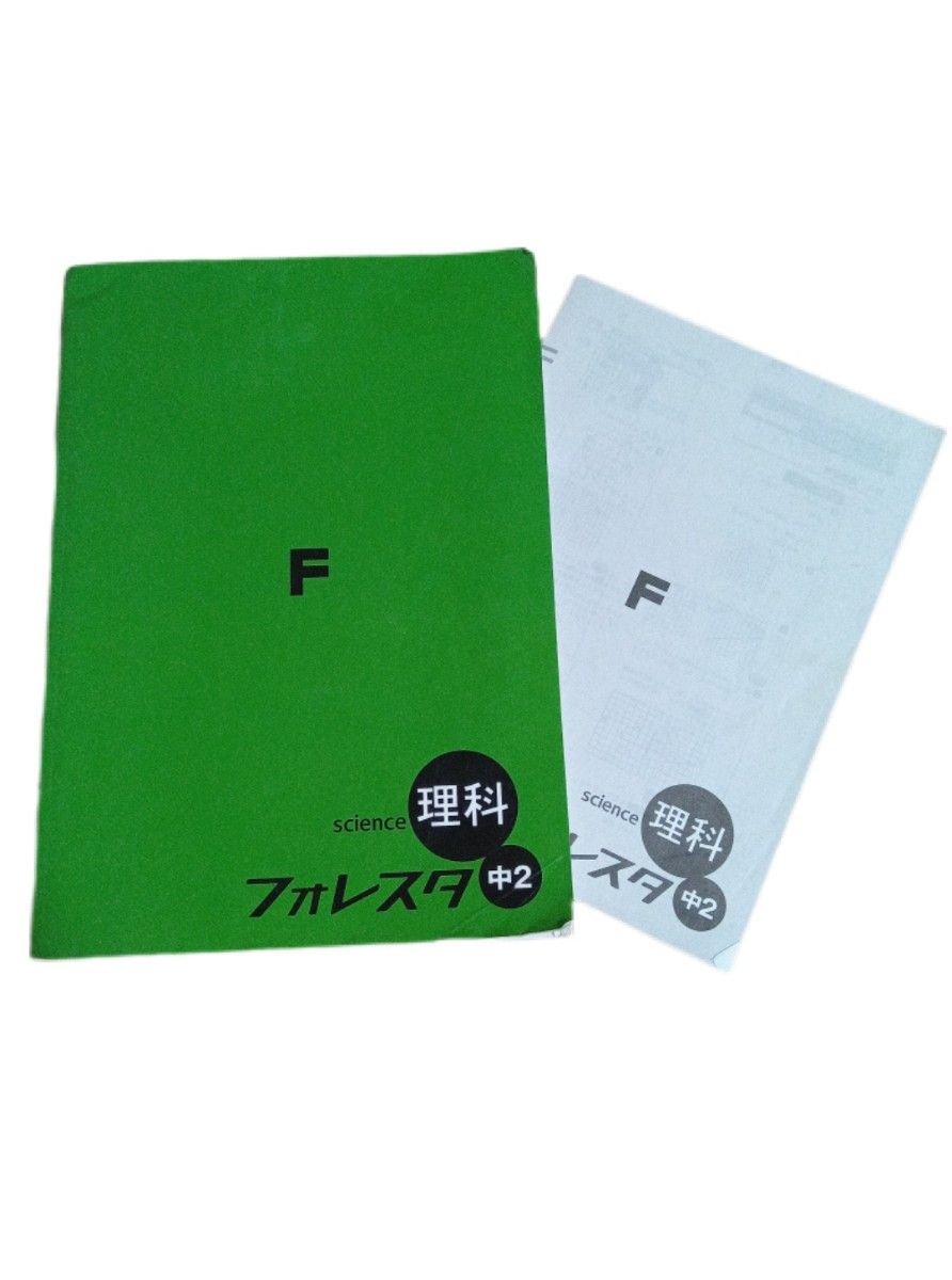 Foresta 初二