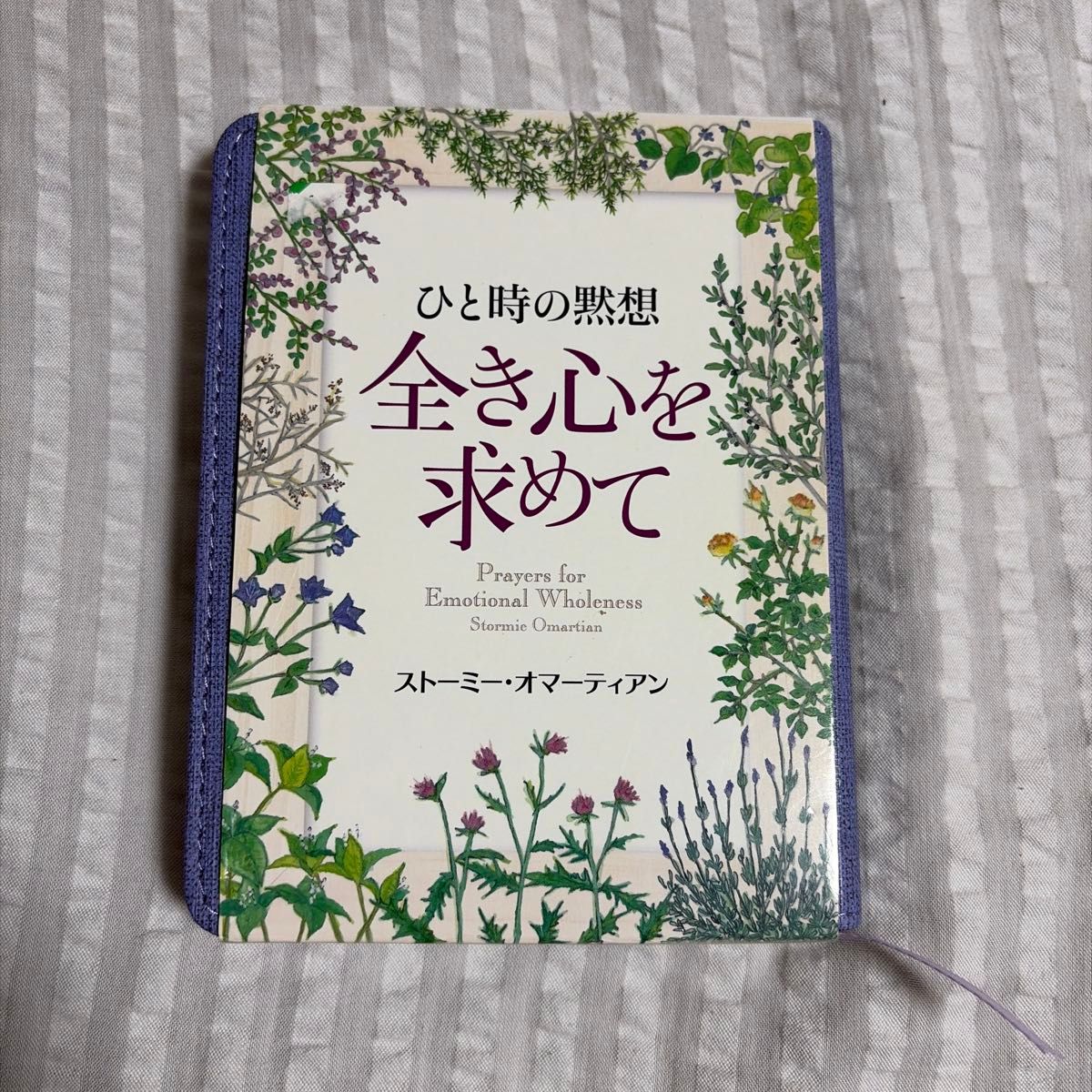 为了追求全心,暂时的沉思斯托米 · 奥马蒂安